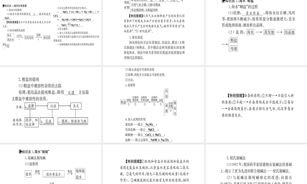 （广西专版）中考化学 考点系统复习 第八单元 海水中的化学课件 鲁教版-鲁教版初中九年级全册化学课件
