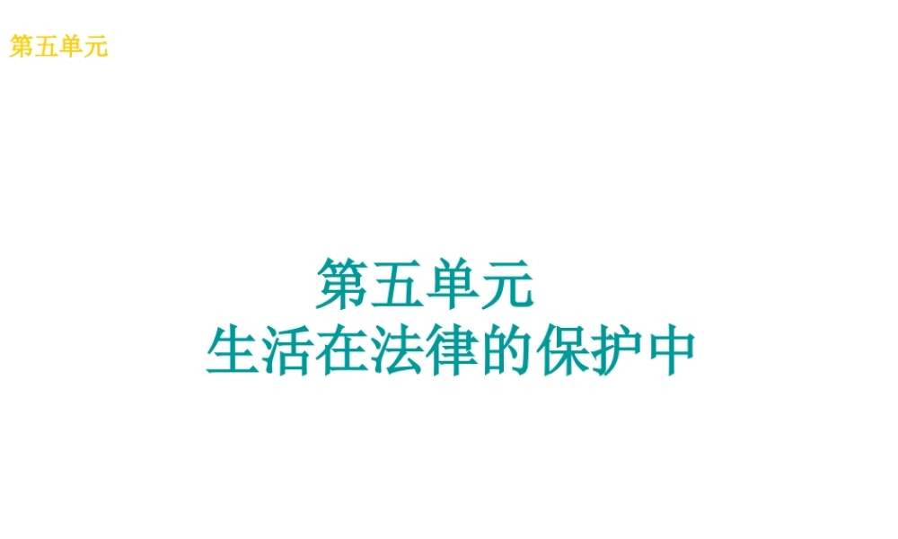 （广西北部湾专版）中考政治 八上 第五单元 生活在法律的保护中知识梳理课件-人教版初中九年级全册政治课件