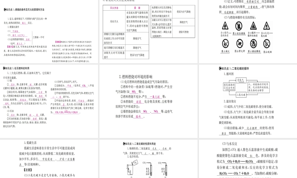 （广西专版）中考化学 考点系统复习 第六单元 燃烧与燃料课件 鲁教版-鲁教版初中九年级全册化学课件