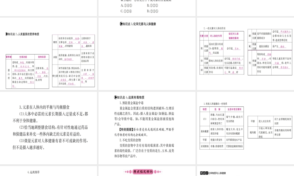 （广西专版）中考化学 考点系统复习 第十单元 化学与健康课件 鲁教版-鲁教版初中九年级全册化学课件