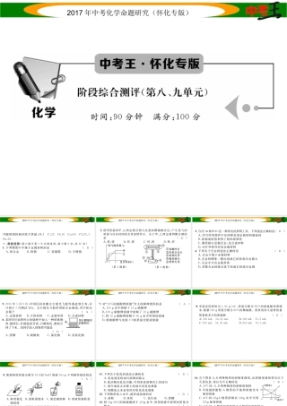 （怀化专版）中考化学命题研究 阶段综合测评（第8-9单元）课件-人教版初中九年级全册化学课件