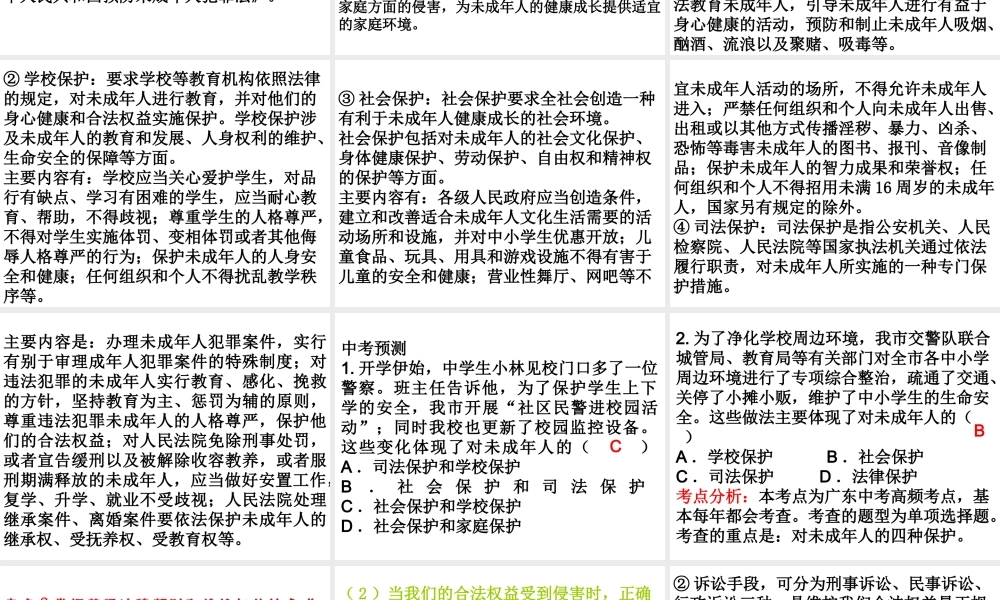 （广东省）中考政治 第三单元 第2节 未成年人保护复习课件-人教版初中九年级全册政治课件