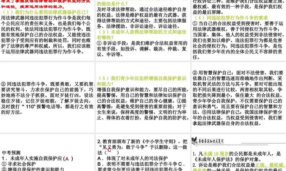 （广东省）中考政治 第三单元 第2节 未成年人保护复习课件-人教版初中九年级全册政治课件