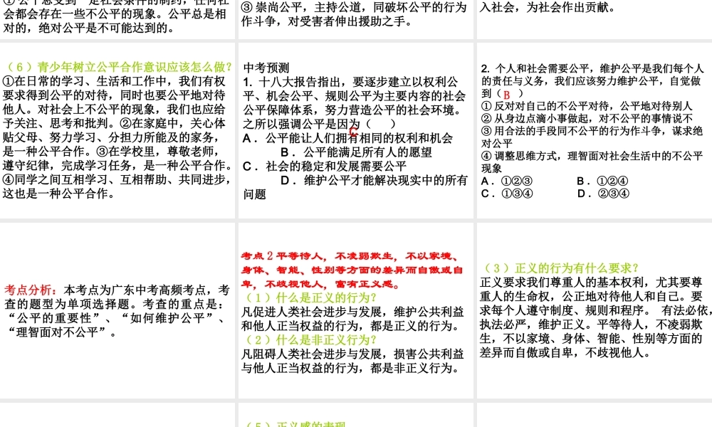 （广东省）中考政治 第五单元 第2节 维护社会公平正义复习课件-人教版初中九年级全册政治课件
