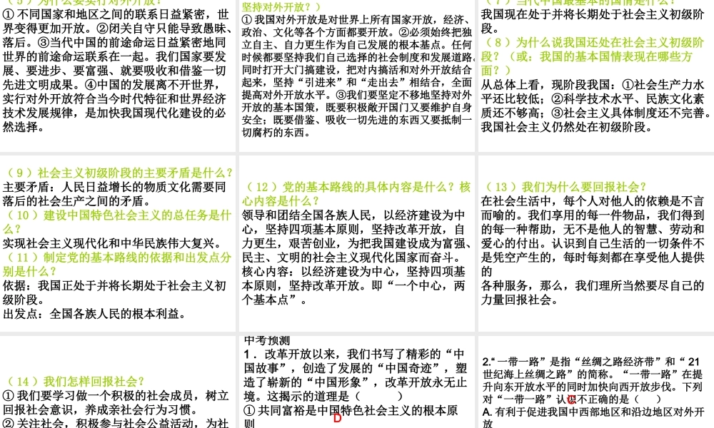 （广东省）中考政治 第五单元 第3节 报效祖国 实现理想复习课件-人教版初中九年级全册政治课件
