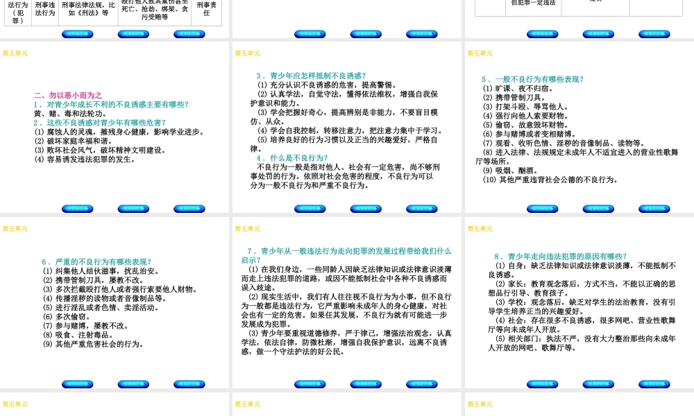 （广西北部湾专版）中考政治 七下 第五单元 守法护法 健康成长知识梳理课件-人教版初中九年级全册政治课件