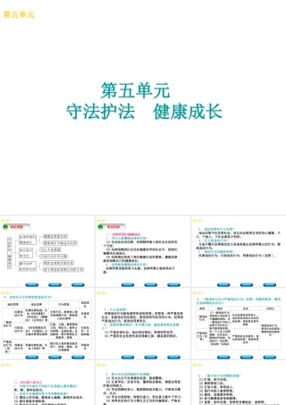 （广西北部湾专版）中考政治 七下 第五单元 守法护法 健康成长知识梳理课件-人教版初中九年级全册政治课件