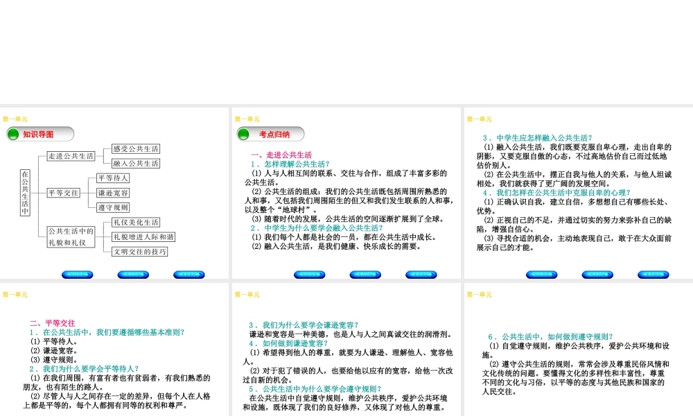 （广西北部湾专版）中考政治 七下 第一单元 在公共生活中知识梳理课件-人教版初中九年级全册政治课件