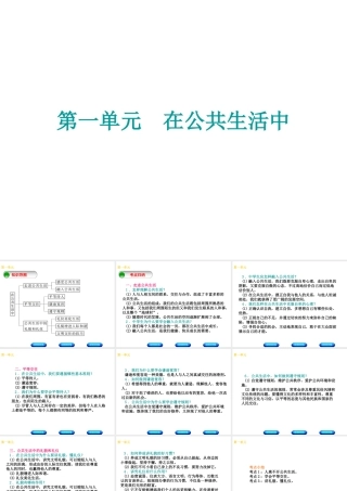 （广西北部湾专版）中考政治 七下 第一单元 在公共生活中知识梳理课件-人教版初中九年级全册政治课件