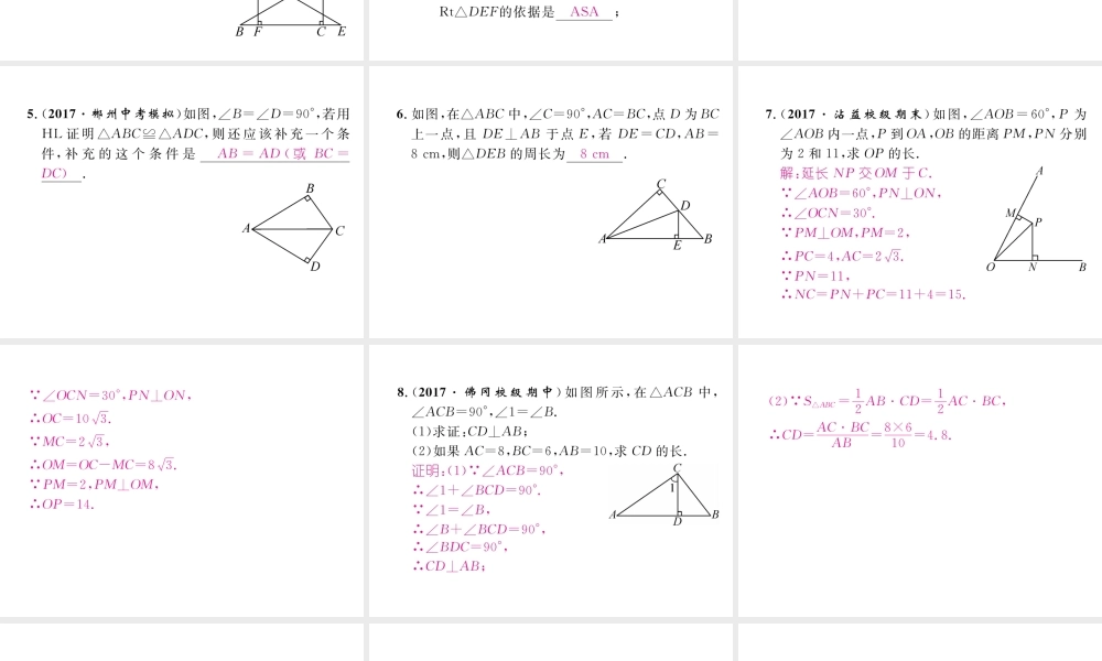 （成都专级数学下册 第1章 三角形的证明 2 直角三角形 第2课时 直角三角形全等的判定作业课件 （新版）北师大版-（新版）北师大级下册数学课件