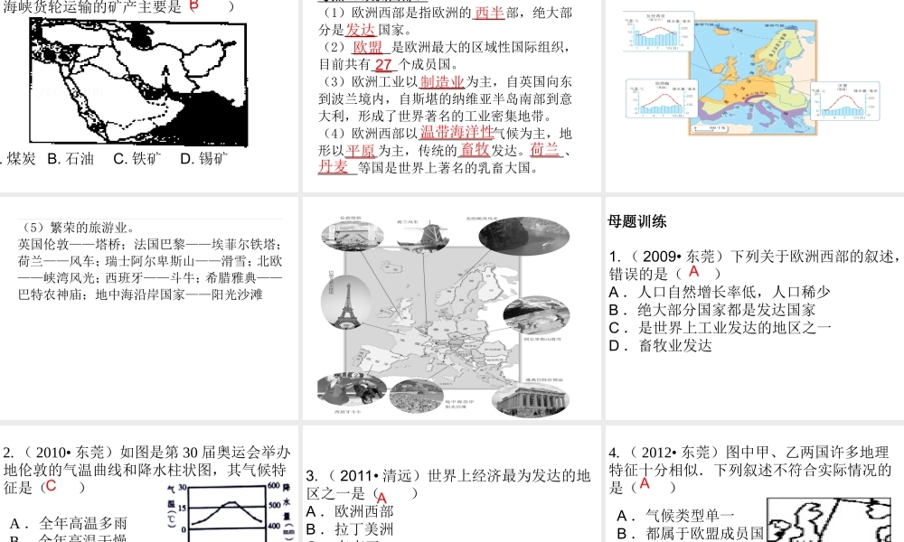 （广东地区）中考地理 专题七 东半球的其他国家和地区复习课件 新人教版-新人教版初中九年级全册地理课件
