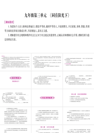 （广西专版）中考政治总复习 九年级 第3单元 同在阳光下课件-人教版初中九年级全册政治课件
