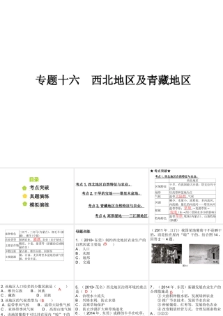 （广东地区）中考地理 专题十六 西北地区及青藏地区复习课件 新人教版-新人教版初中九年级全册地理课件