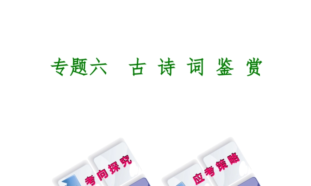 （徐州专版）中考语文 第二部分 古诗文阅读 专题六 古诗词鉴赏复习课件-人教版初中九年级全册语文课件