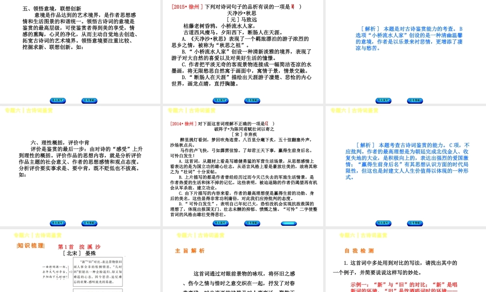 （徐州专版）中考语文 第二部分 古诗文阅读 专题六 古诗词鉴赏复习课件-人教版初中九年级全册语文课件