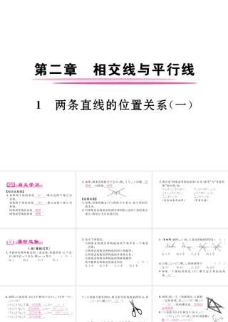 （成都专级数学下册 第2章 相交的平行线 1 两条直线的位置关系（1）作业课件 （新版）北师大版-（新版）北师大级下册数学课件