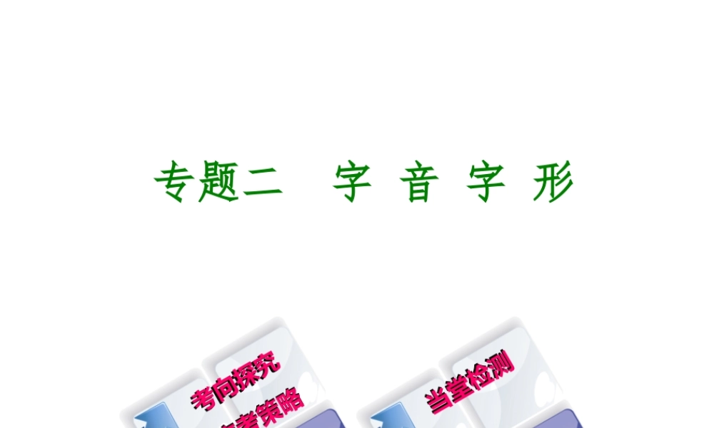 （徐州专版）中考语文 第一部分 积累与运用 专题二 字音与字形复习课件-人教版初中九年级全册语文课件