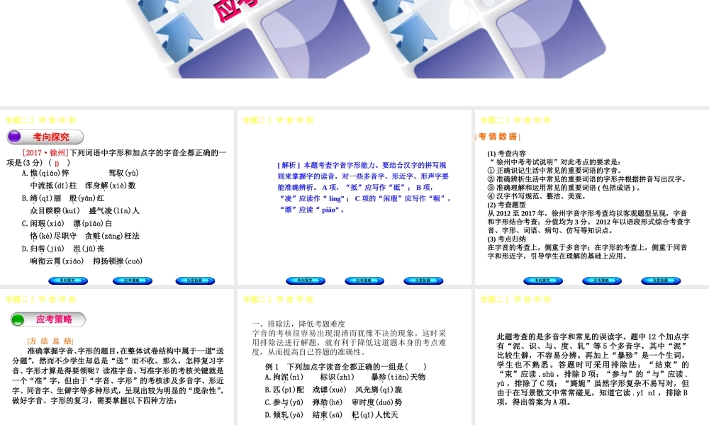 （徐州专版）中考语文 第一部分 积累与运用 专题二 字音与字形复习课件-人教版初中九年级全册语文课件