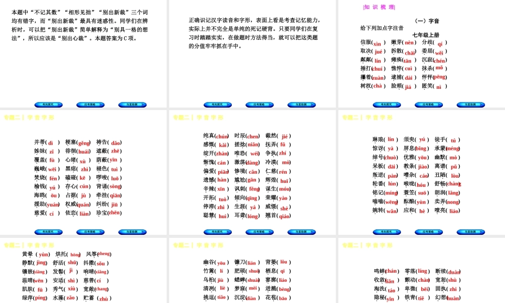 （徐州专版）中考语文 第一部分 积累与运用 专题二 字音与字形复习课件-人教版初中九年级全册语文课件