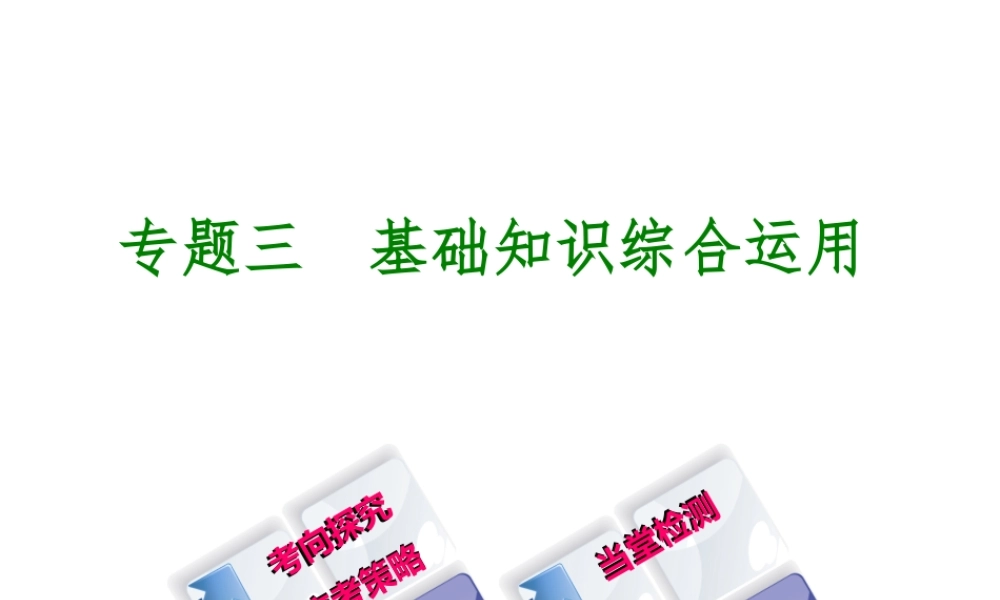 （徐州专版）中考语文 第一部分 积累与运用 专题三 基础知识综合运用复习课件-人教版初中九年级全册语文课件