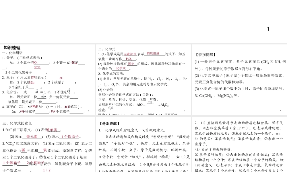 （广东地区）中考化学 第二部分 物质构成的奥秘 第三节 化学用语、化学式和化合价复习课件 新人教版-新人教版初中九年级全册化学课件