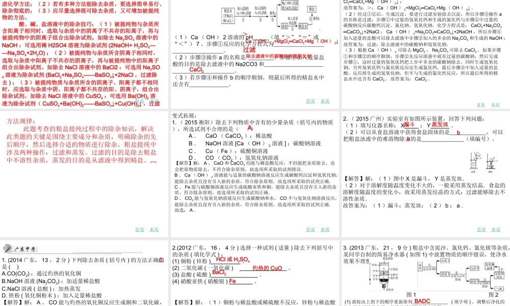 （广东地区）中考化学 第二十章 物质的分离与提纯复习课件 新人教版-新人教版初中九年级全册化学课件