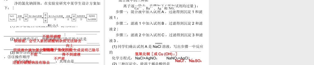 （广东地区）中考化学 第六部分 专题训练 专题三 物质的分离与提纯复习课件 新人教版-新人教版初中九年级全册化学课件