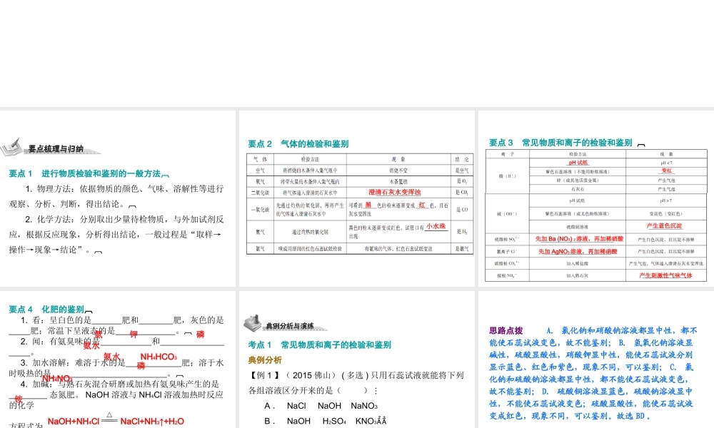 （广东地区）中考化学 第六部分 专题训练 专题四 物质的检验与鉴别复习课件 新人教版-新人教版初中九年级全册化学课件