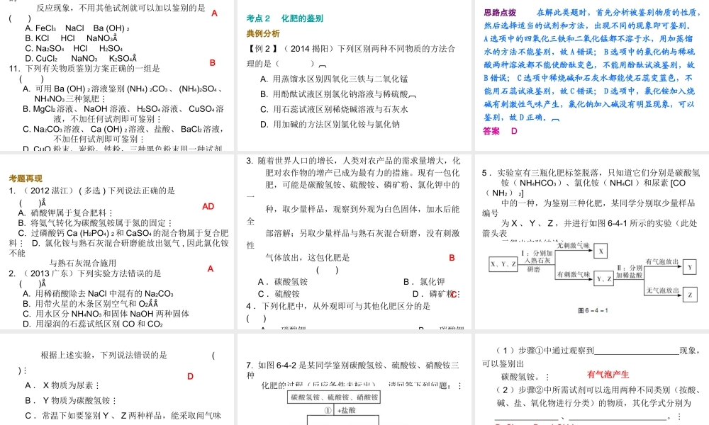 （广东地区）中考化学 第六部分 专题训练 专题四 物质的检验与鉴别复习课件 新人教版-新人教版初中九年级全册化学课件