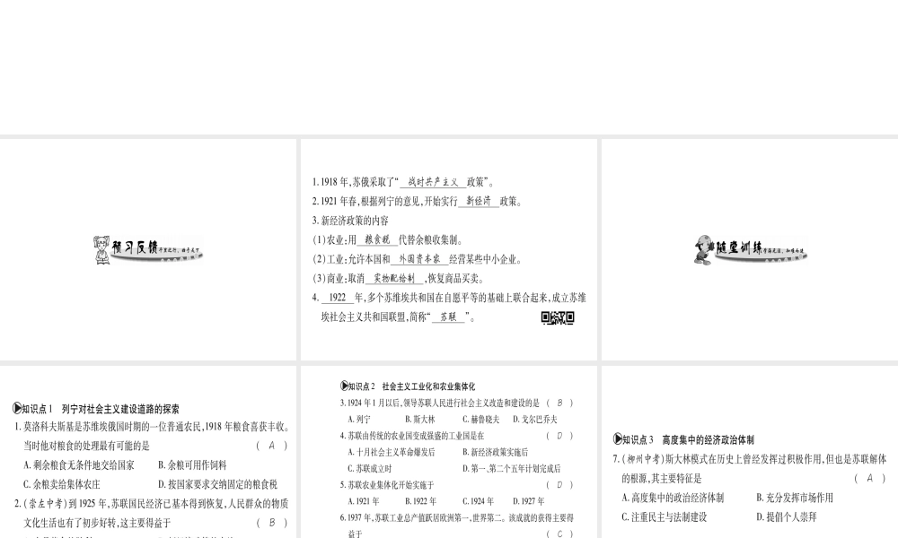 （广西专用）九年级历史下册 第2课 苏联的社会主义建设课件 岳麓版-岳麓版初中九年级下册历史课件