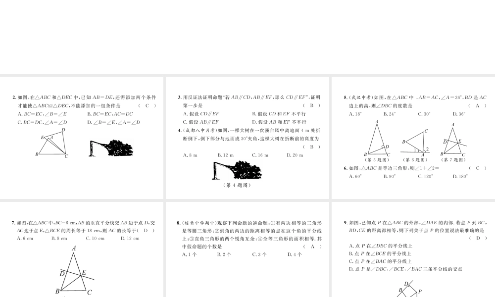（成都专版）春八年级数学下册 第1章 三角形的证明达标测试卷作业课件 （新版）北师大版-（新版）北师大版初中八年级下册数学课件