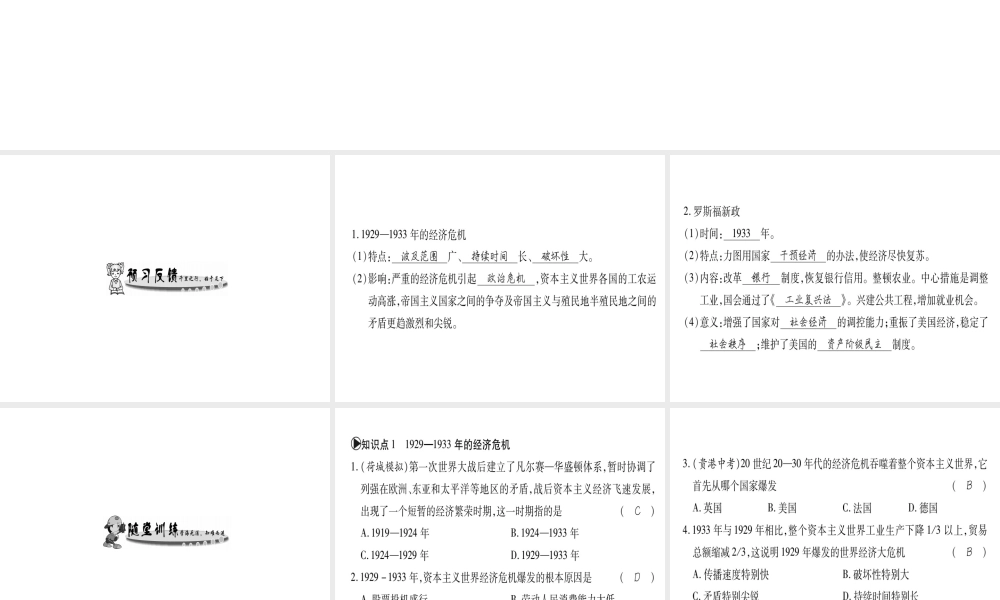（广西专用）九年级历史下册 第4课 资本主义世界经济危机和罗斯福新政课件 岳麓版-岳麓版初中九年级下册历史课件