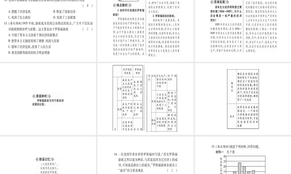 （广西专用）九年级历史下册 第4课 资本主义世界经济危机和罗斯福新政课件 岳麓版-岳麓版初中九年级下册历史课件