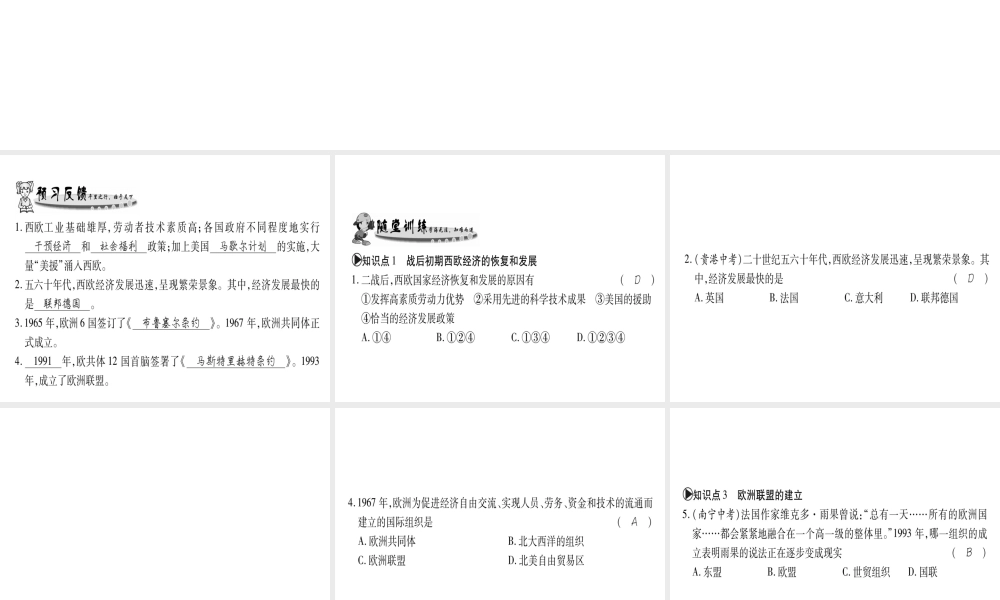 （广西专用）九年级历史下册 第10课 欧洲联盟课件 岳麓版-岳麓版初中九年级下册历史课件