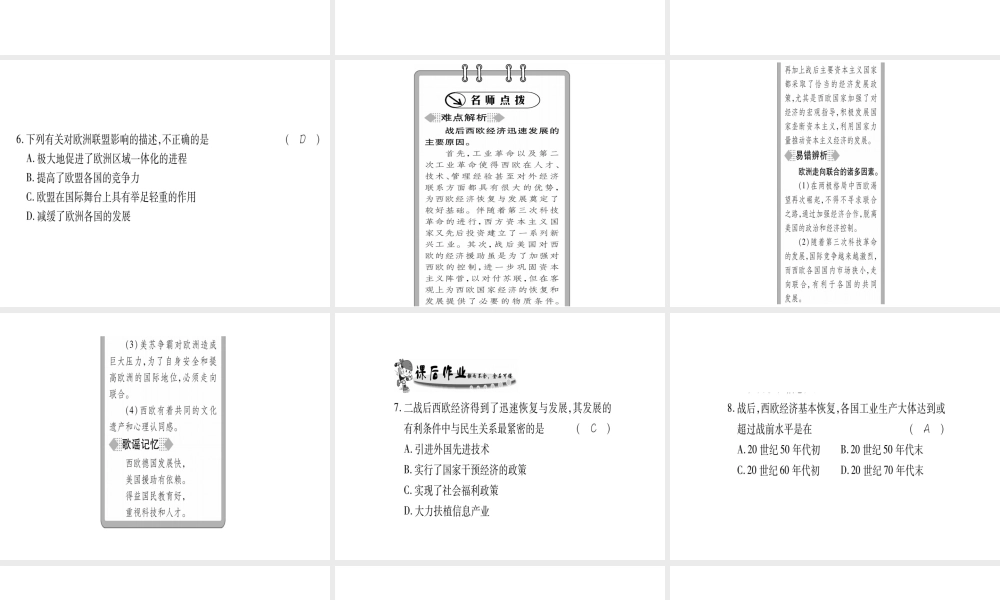 （广西专用）九年级历史下册 第10课 欧洲联盟课件 岳麓版-岳麓版初中九年级下册历史课件