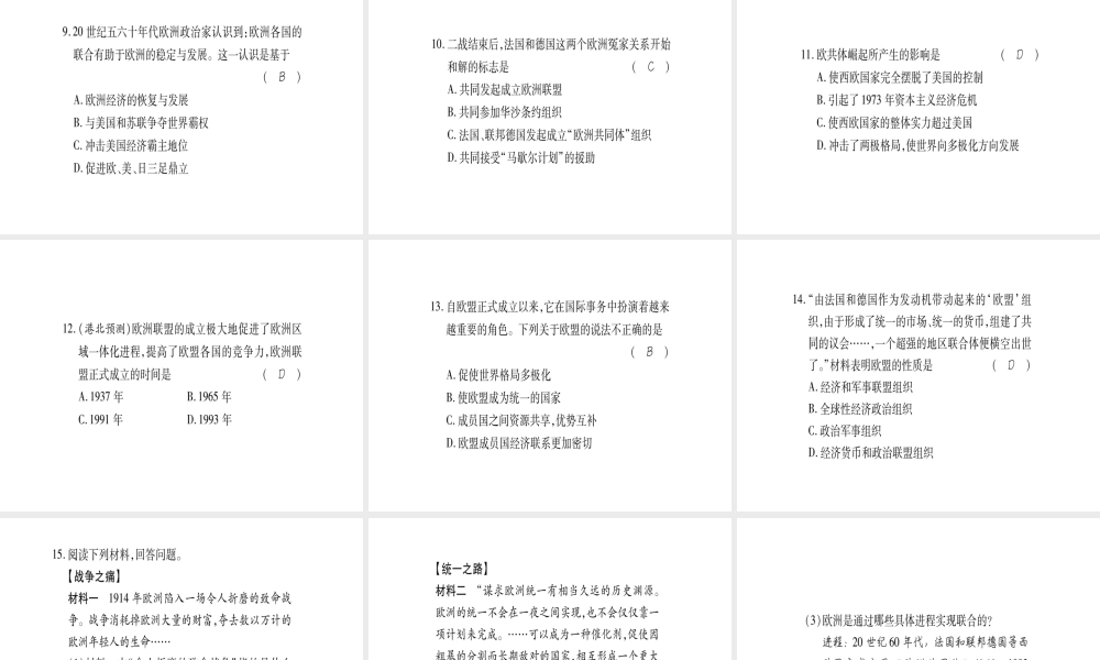 （广西专用）九年级历史下册 第10课 欧洲联盟课件 岳麓版-岳麓版初中九年级下册历史课件
