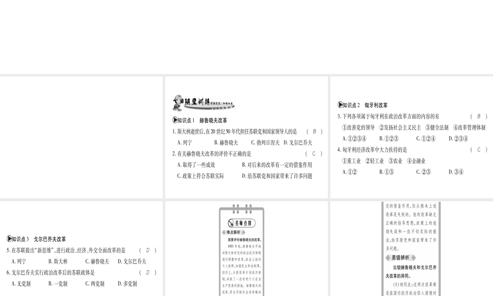 （广西专用）九年级历史下册 第12课 苏联和东欧社会主义国家的改革课件 岳麓版-岳麓版初中九年级下册历史课件