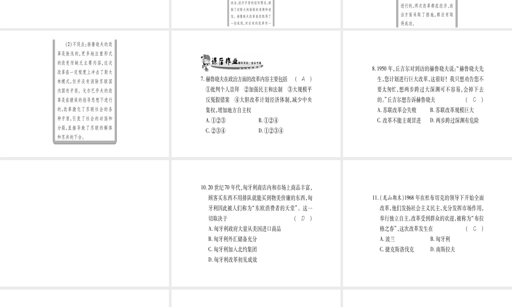 （广西专用）九年级历史下册 第12课 苏联和东欧社会主义国家的改革课件 岳麓版-岳麓版初中九年级下册历史课件