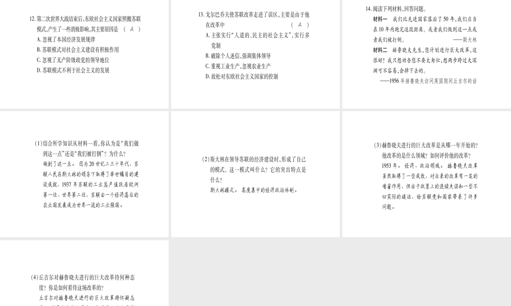 （广西专用）九年级历史下册 第12课 苏联和东欧社会主义国家的改革课件 岳麓版-岳麓版初中九年级下册历史课件