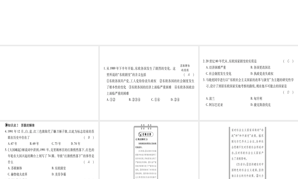 （广西专用）九年级历史下册 第13课 东欧剧变和苏联解体课件 岳麓版-岳麓版初中九年级下册历史课件