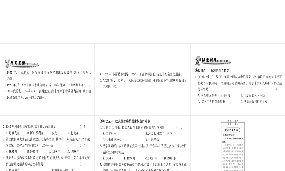 （广西专用）九年级历史下册 第15课 非洲独立运动和拉美国家维护国家权益的斗争课件 岳麓版-岳麓版初中九年级下册历史课件
