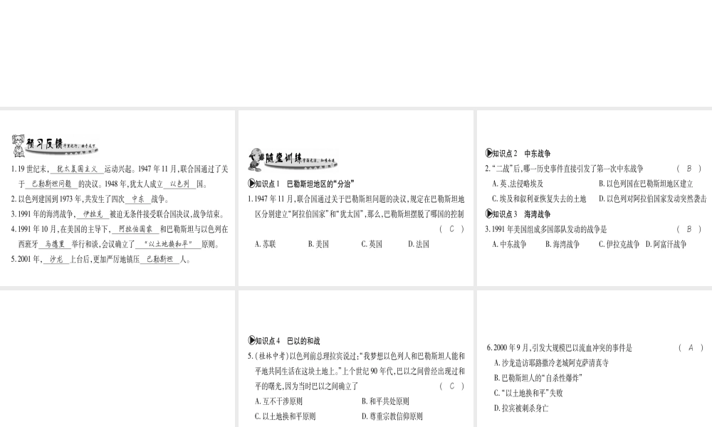 （广西专用）九年级历史下册 第16课 中东地区的矛盾和冲突课件 岳麓版-岳麓版初中九年级下册历史课件