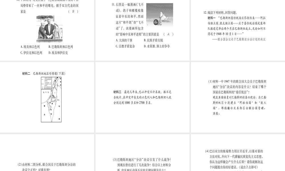 （广西专用）九年级历史下册 第16课 中东地区的矛盾和冲突课件 岳麓版-岳麓版初中九年级下册历史课件