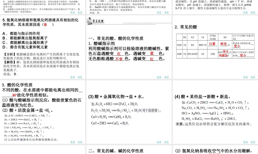 （广东地区）中考化学 第十三章 酸和碱复习课件 新人教版-新人教版初中九年级全册化学课件
