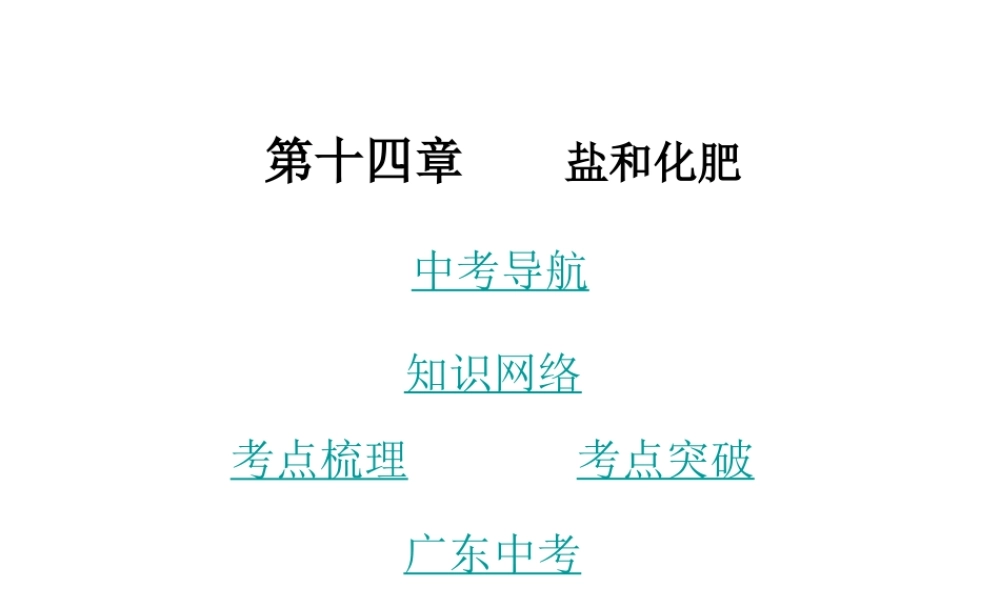 （广东地区）中考化学 第十四章 盐和化肥复习课件 新人教版-新人教版初中九年级全册化学课件