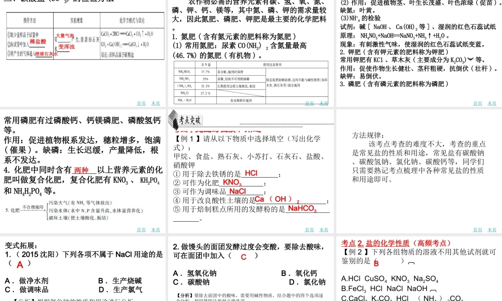 （广东地区）中考化学 第十四章 盐和化肥复习课件 新人教版-新人教版初中九年级全册化学课件