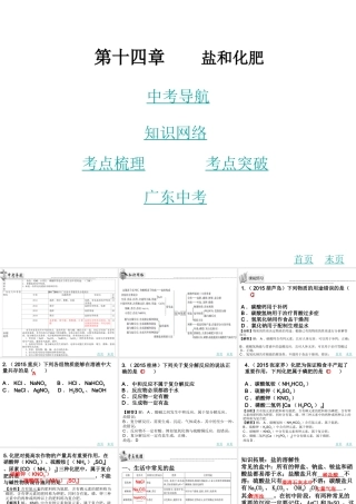 （广东地区）中考化学 第十四章 盐和化肥复习课件 新人教版-新人教版初中九年级全册化学课件