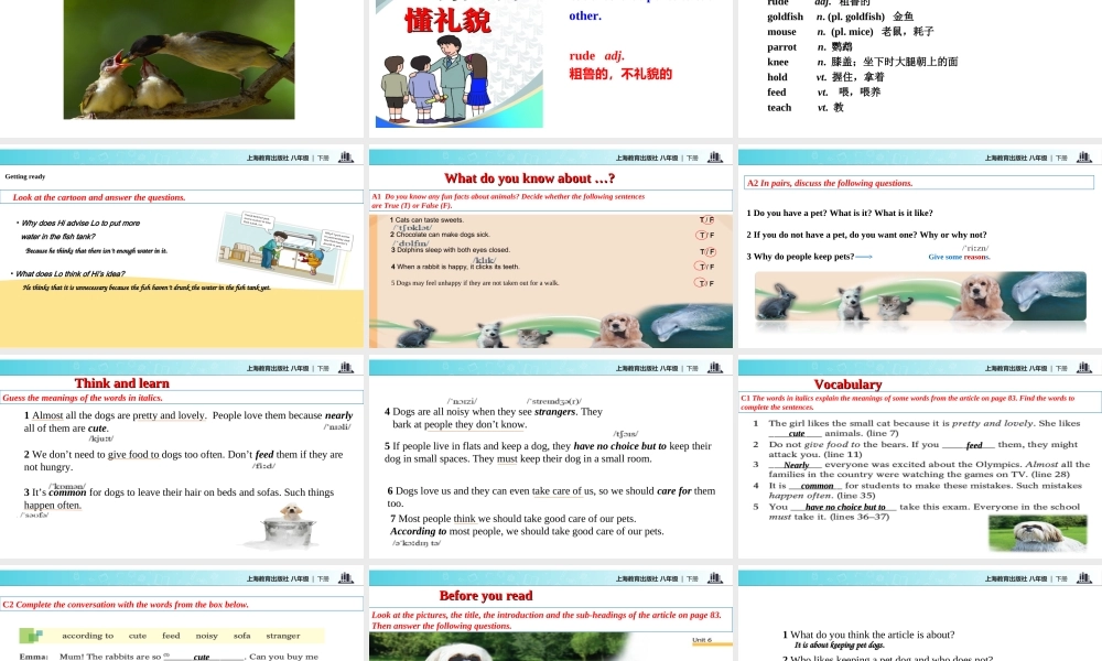 （广州沈阳通用）八年级英语下册 Module 3 Animals Unit 6 Pets课件 牛津深圳版-牛津深圳版初中八年级下册英语课件