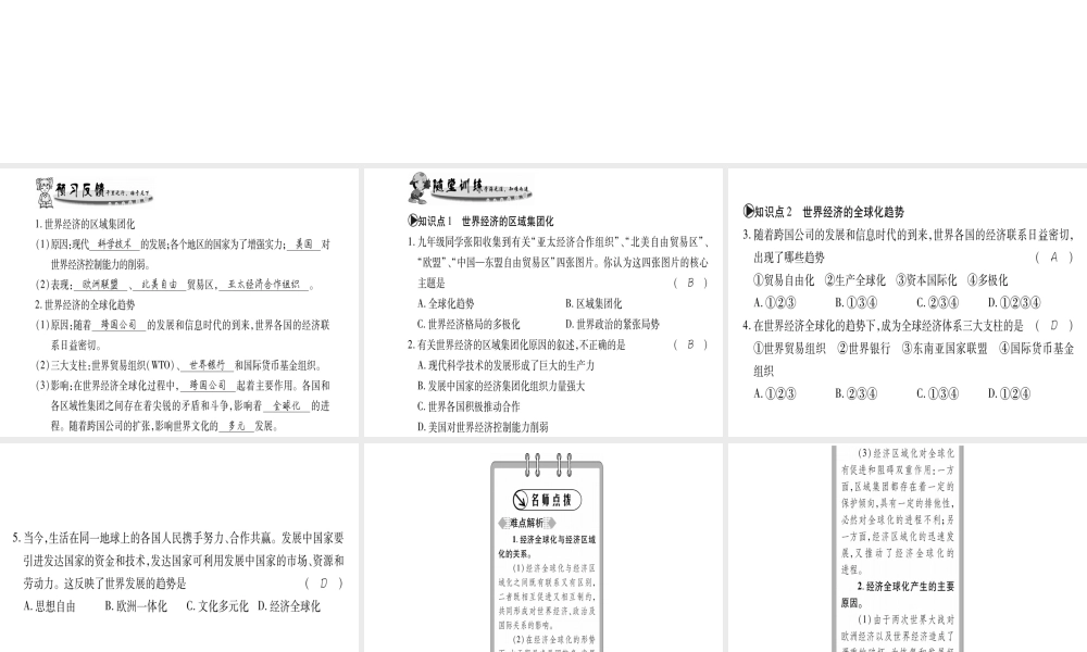（广西专用）九年级历史下册 第19课 世界经济的全球化趋势课件 岳麓版-岳麓版初中九年级下册历史课件