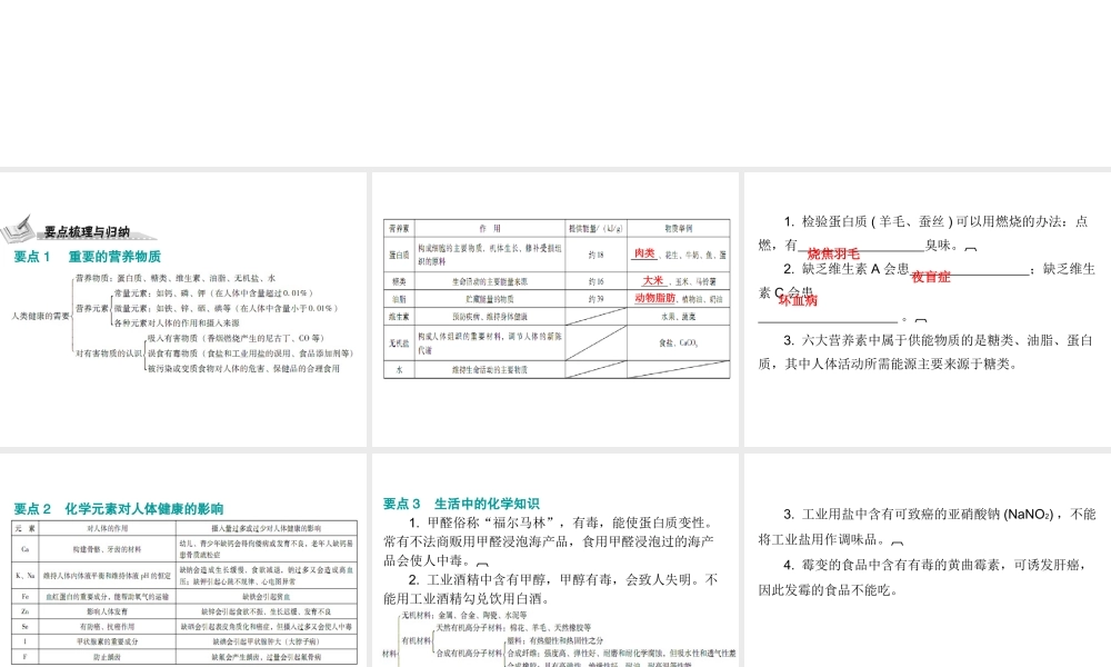 （广东地区）中考化学 第四部分 化学与社会发展 第二节 化学与生活复习课件2 新人教版-新人教版初中九年级全册化学课件
